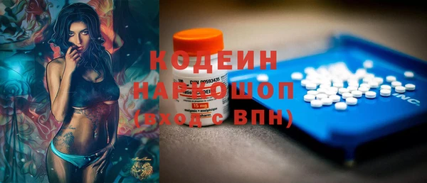сатива Заводоуковск