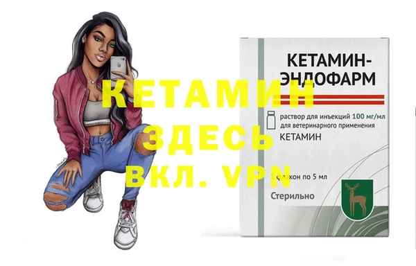 сатива Заводоуковск
