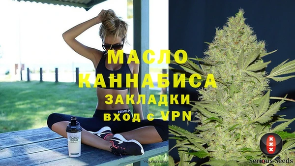 сатива Заводоуковск