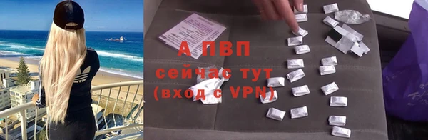 сатива Заводоуковск