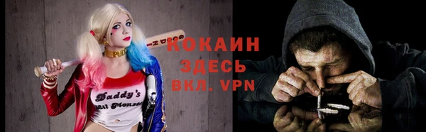 сатива Заводоуковск