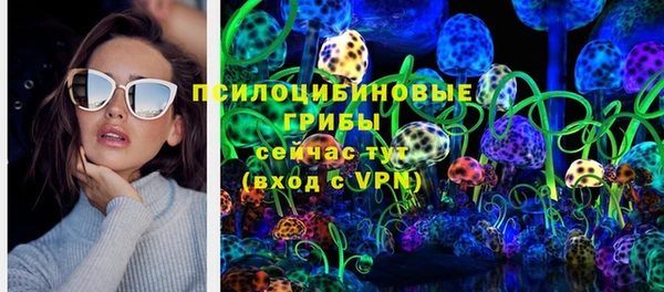 apvp Заволжье