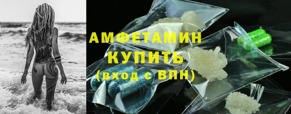 сатива Заводоуковск