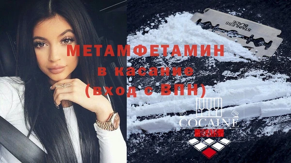 сатива Заводоуковск