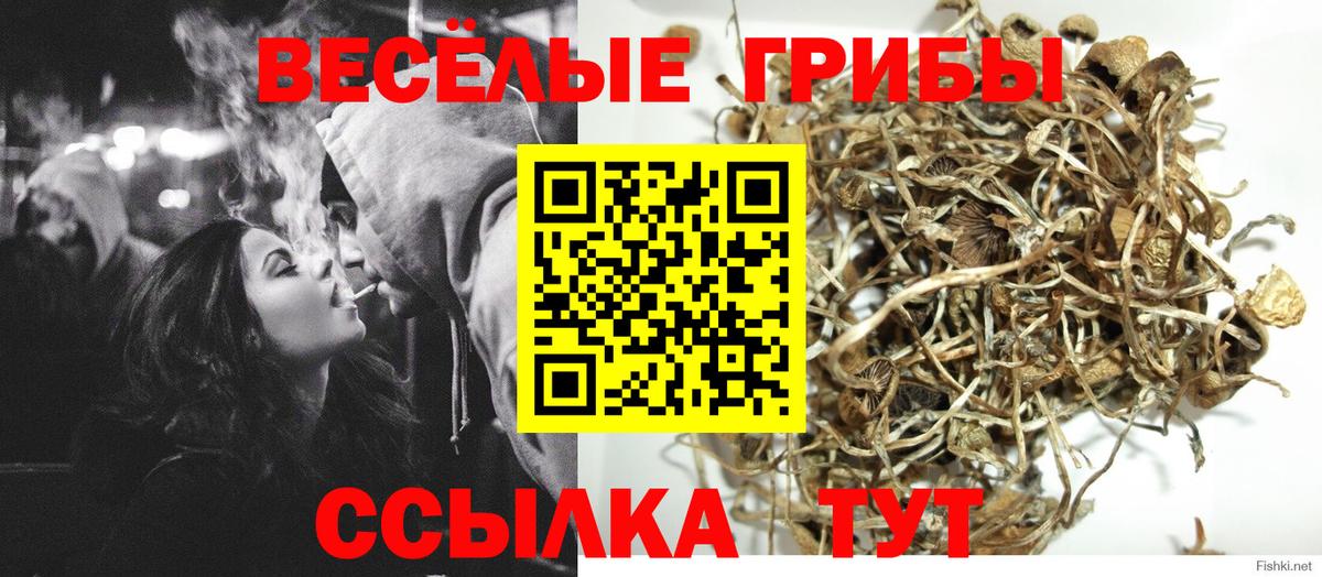 Галлюциногенные грибы ЛСД Ярославль