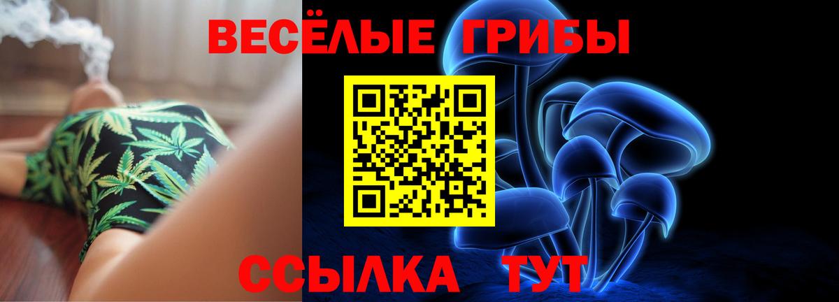 Ярославль  Псилоцибиновые грибы Psilocybe  Вход с VPN 